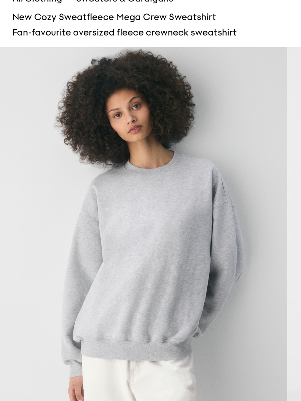 Aritiza cozy mega fleece crewneck sweatshirt